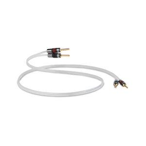 QED Reference Silver Anniversary XT