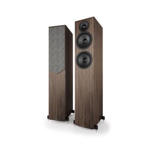 Acoustic Energy AE309.2