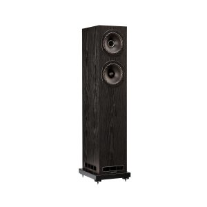 Fyne Audio F501E