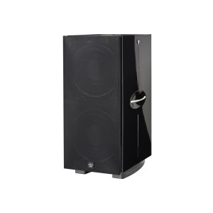 REL Acoustics 212 Black Label