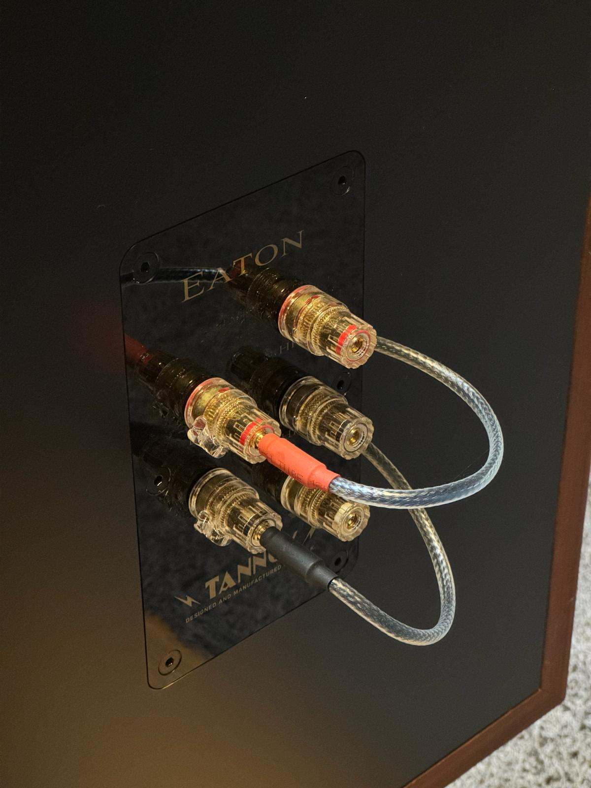 Tannoy Legacy Eaton - Afbeelding 11