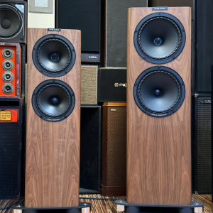 Fyne Audio F703 SP Demo set