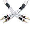 Genesis Silver Spiral speakerkabel