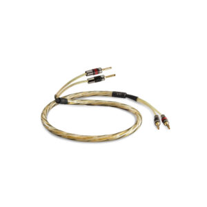 QED Reference Golden Anniversary XT